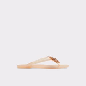 Beige Aldo Kahala Flat Sandal Sandals | 83VQFLRUD