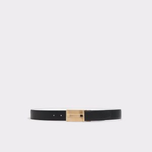 Black / Gold Multicolor Aldo Gredril Belts | 29DWSNPFG