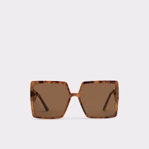 Brown Aldo Annerelia Sunglasses | 52XGJRVHF