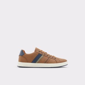 Brown Aldo Citywalk Low Top - Cup Sole Sneakers | 03KPZNWDF