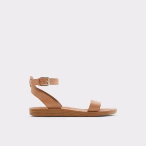 Brown Aldo Kedaredia Flat Sandal Sandals | 94YDFVHQR