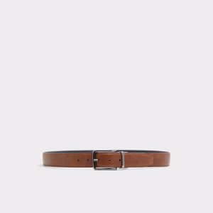 Brown Aldo Pilosellus Belts | 70WSCPJVZ