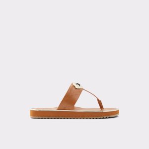 Brown Aldo Searene Flip Flop Sandals | 95UMGHKFO