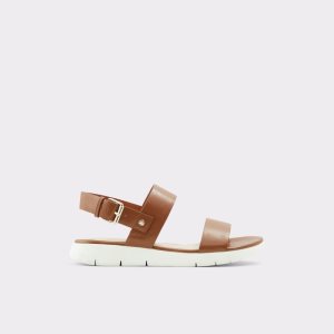 Brown Aldo Woema Flat Sandal Sandals | 53UWIPQHM