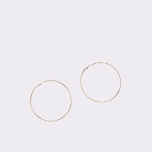 Gold Aldo Thilisien Hoop Earrings | 16MLZXDUT