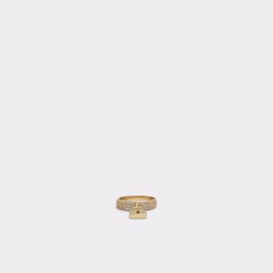 Gold / Multicolor Aldo Berobredar Ring | 30PDNCEJI