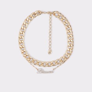 Gold / Multicolor Aldo Deyers Necklace | 84MZBRWIN