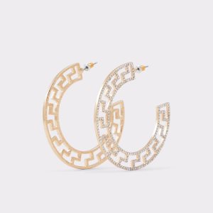 Gold / Multicolor Aldo Rharema Earrings | 71TSANFQG