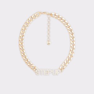 Gold / Multicolor Aldo Stepupn Necklace | 64GHORDMZ