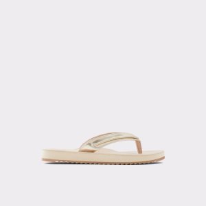 Multicolor Aldo Polo Flip Flops Sandals | 02FGORELQ