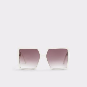 Multicolor Aldo Ybaledia Square Sunglasses | 91SGQDFRN