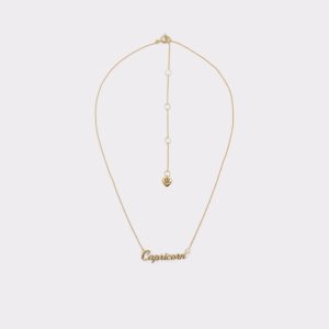 Yellow Aldo Zodia Necklace | 90AXWQUHI