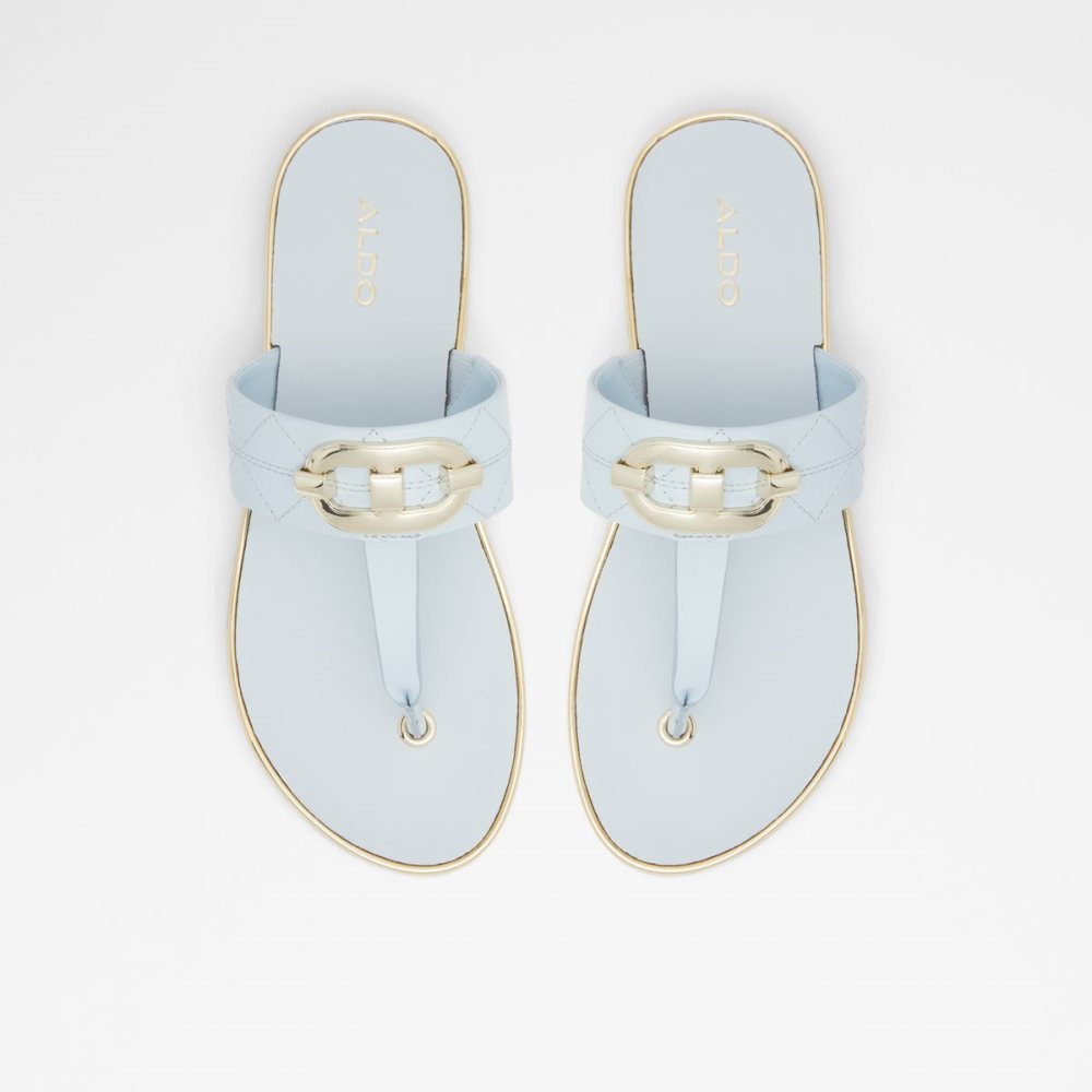 Blue Aldo Searene Thong Sandal Sandals | 01UHYJBSL