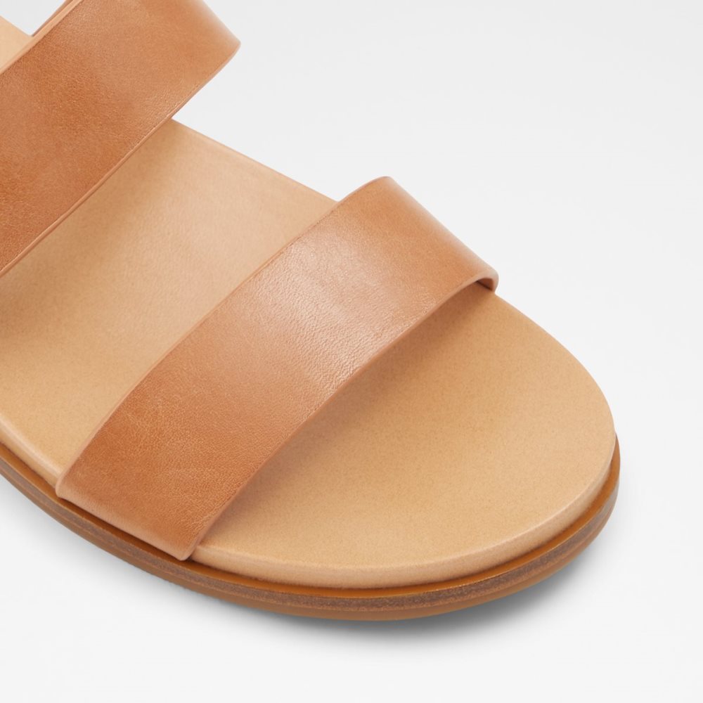 Brown Aldo Aliawen Slide Sandal Sandals | 02GTPYEVA