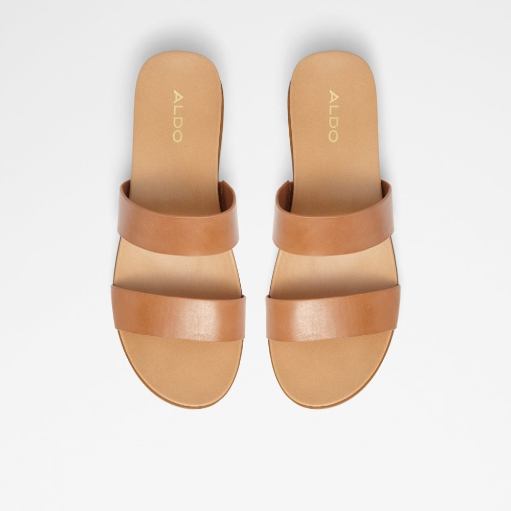 Brown Aldo Aliawen Slide Sandal Sandals | 02GTPYEVA