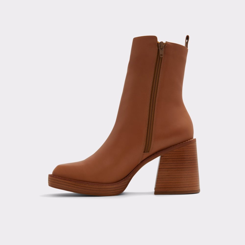 Brown Aldo Benrubin Ankle Boots | 60MTDLZRI