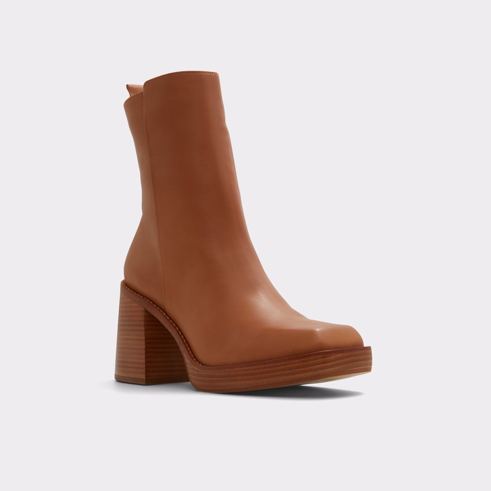 Brown Aldo Benrubin Ankle Boots | 60MTDLZRI