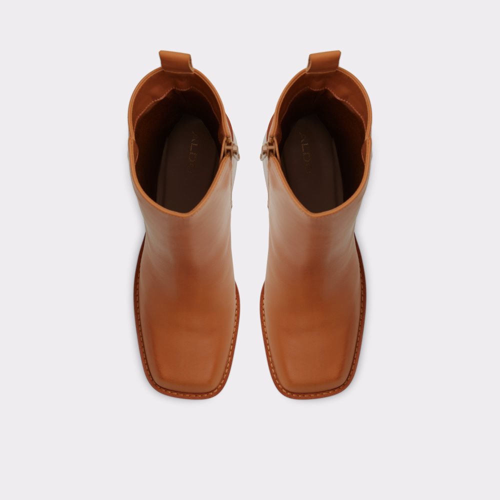 Brown Aldo Benrubin Ankle Boots | 60MTDLZRI