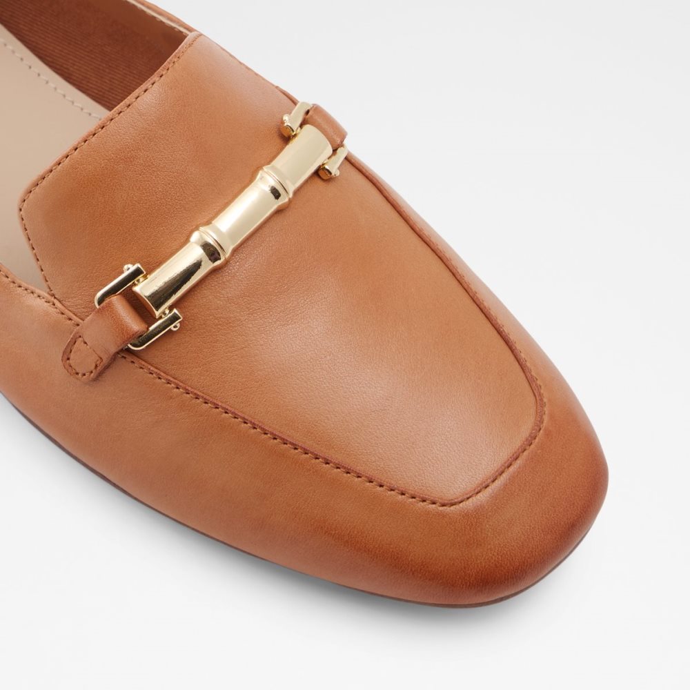 Brown Aldo Boska Mules | 07UKOTHXA