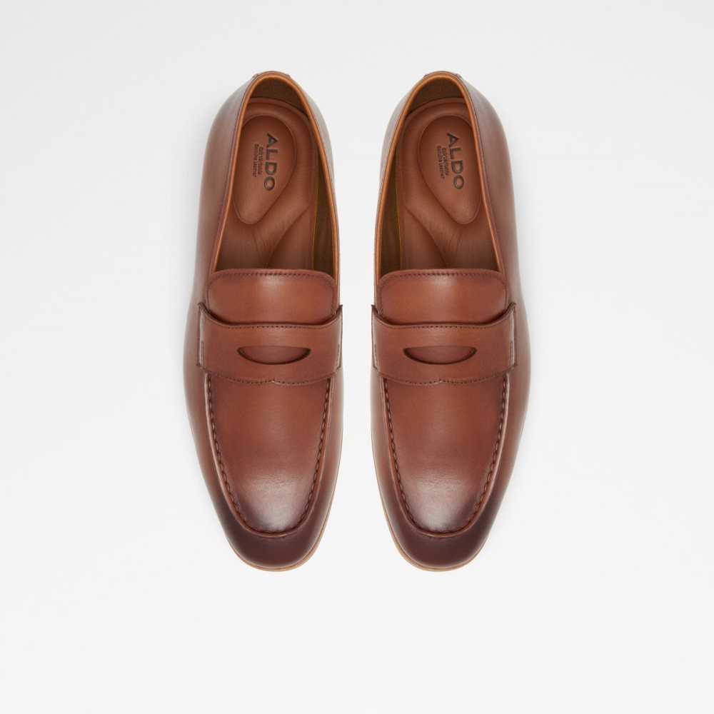 Brown Aldo Byron Loafers | 19GUPAIVX