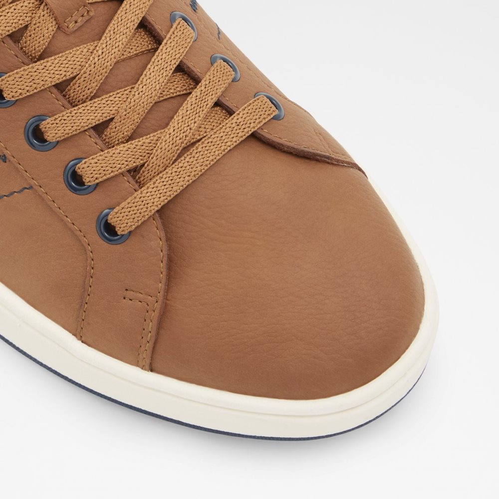 Brown Aldo Citywalk Low Top - Cup Sole Sneakers | 03KPZNWDF