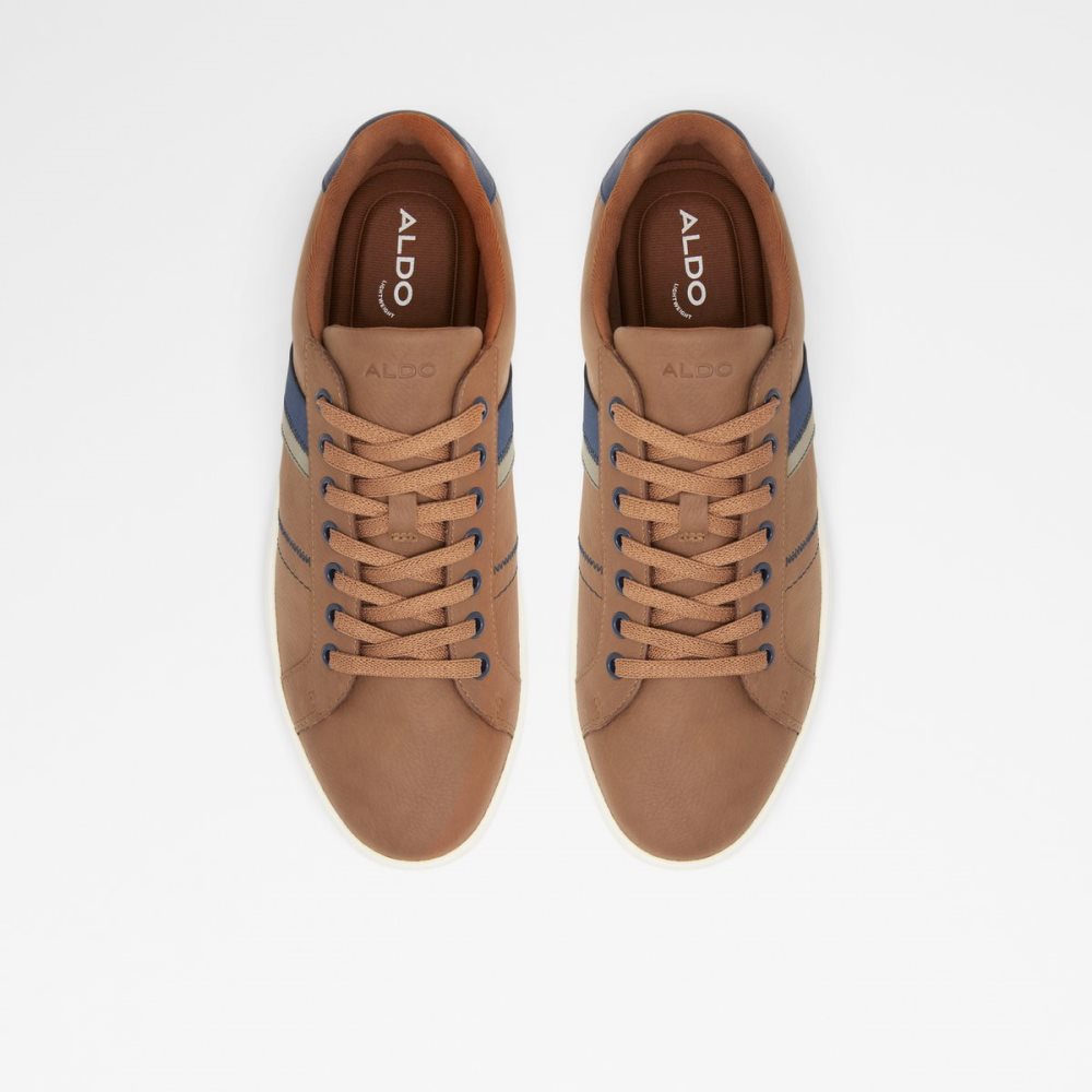 Brown Aldo Citywalk Low Top - Cup Sole Sneakers | 03KPZNWDF