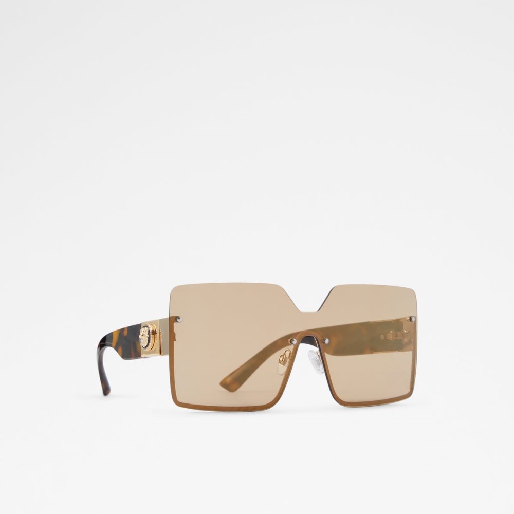 Brown Aldo Devanandra Square Sunglasses | 57DLRGNAF