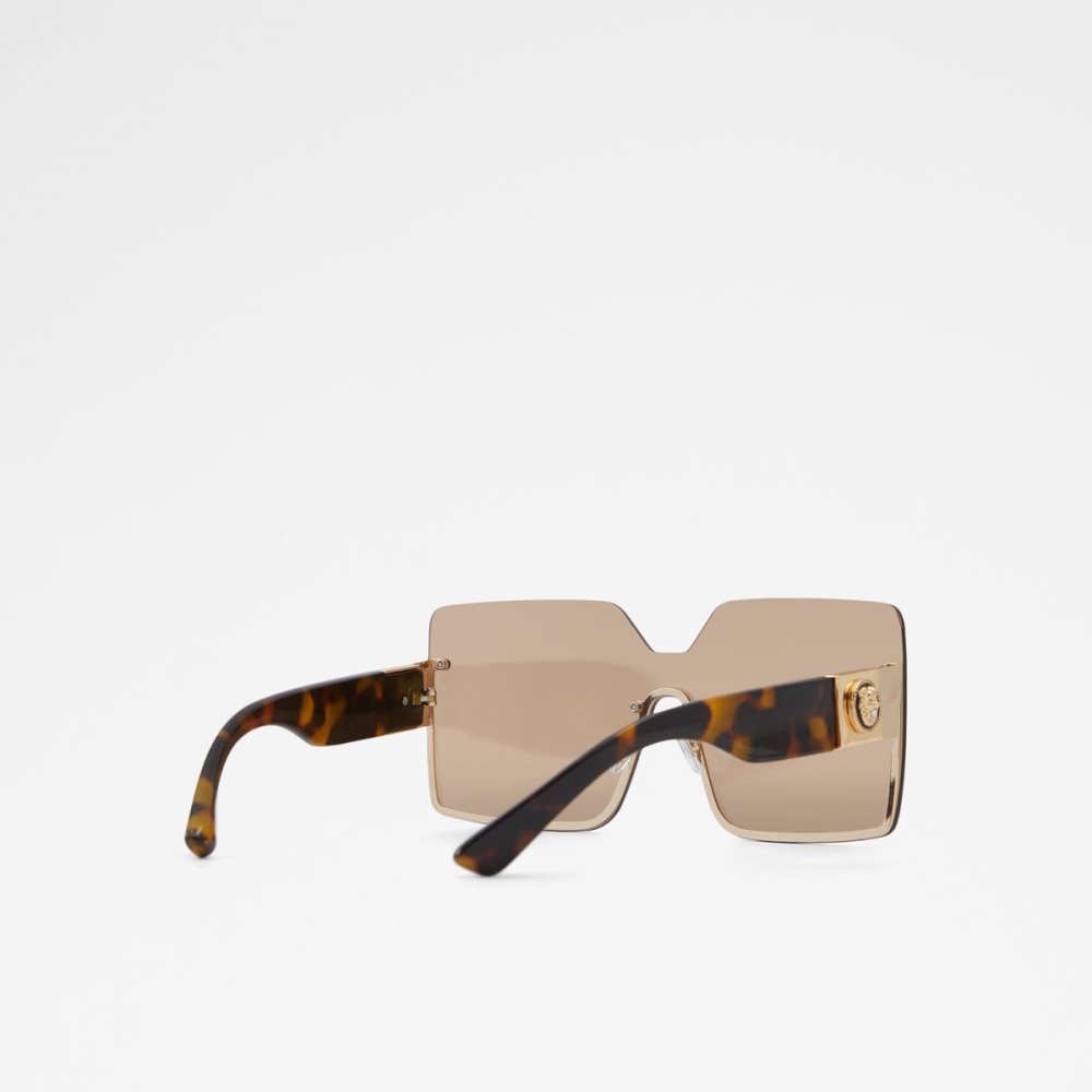 Brown Aldo Devanandra Square Sunglasses | 57DLRGNAF