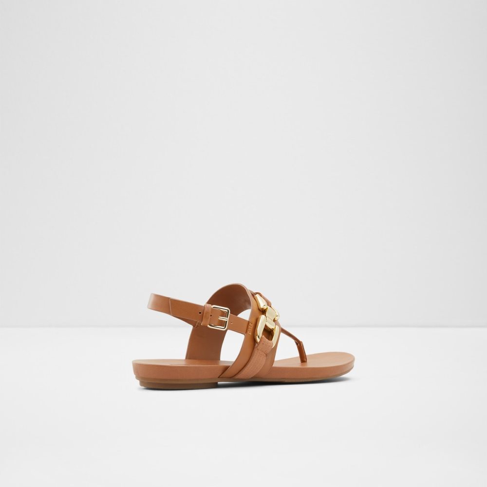 Brown Aldo Gannamaryn T-strap Sandal Sandals | 01TYVRMLQ