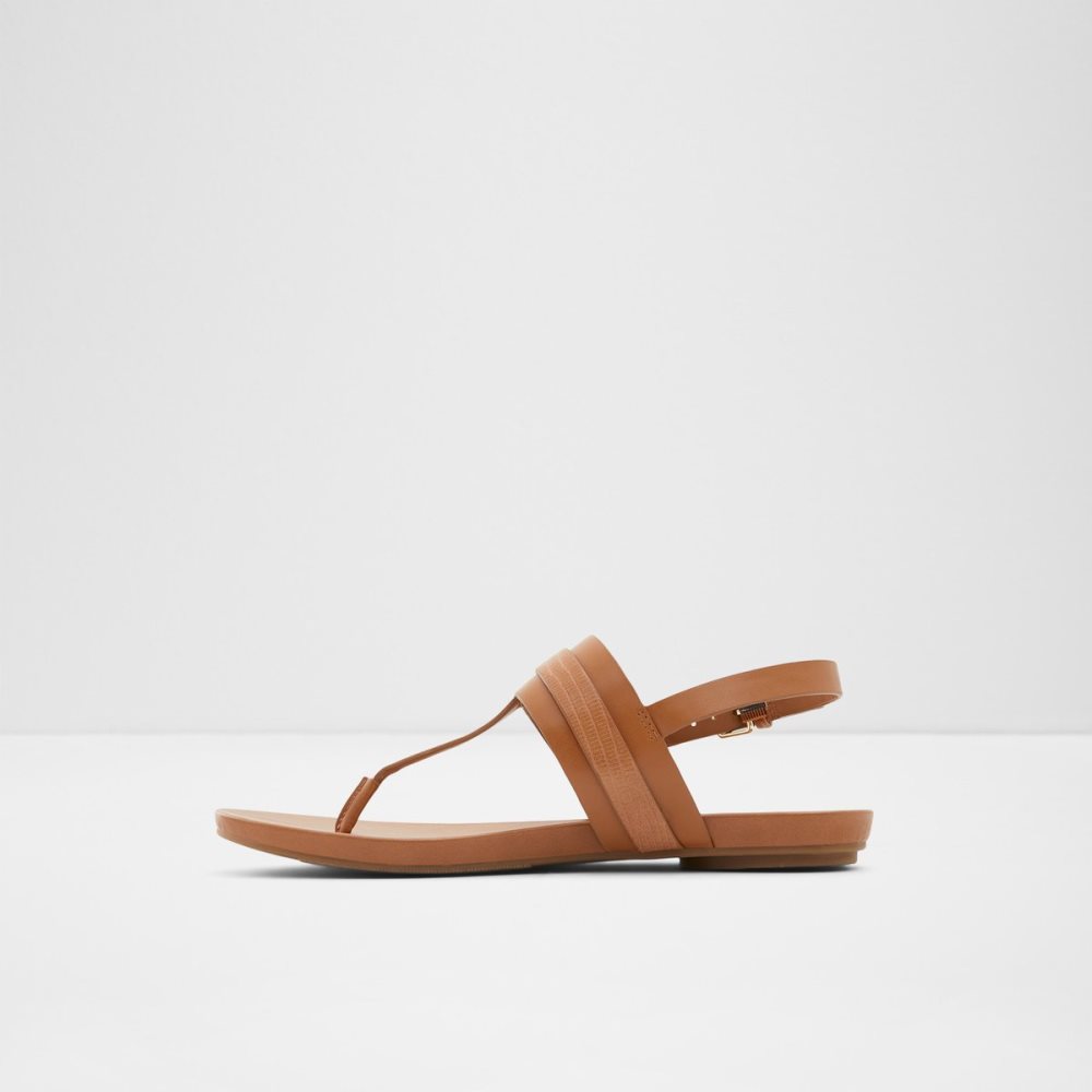 Brown Aldo Gannamaryn T-strap Sandal Sandals | 01TYVRMLQ