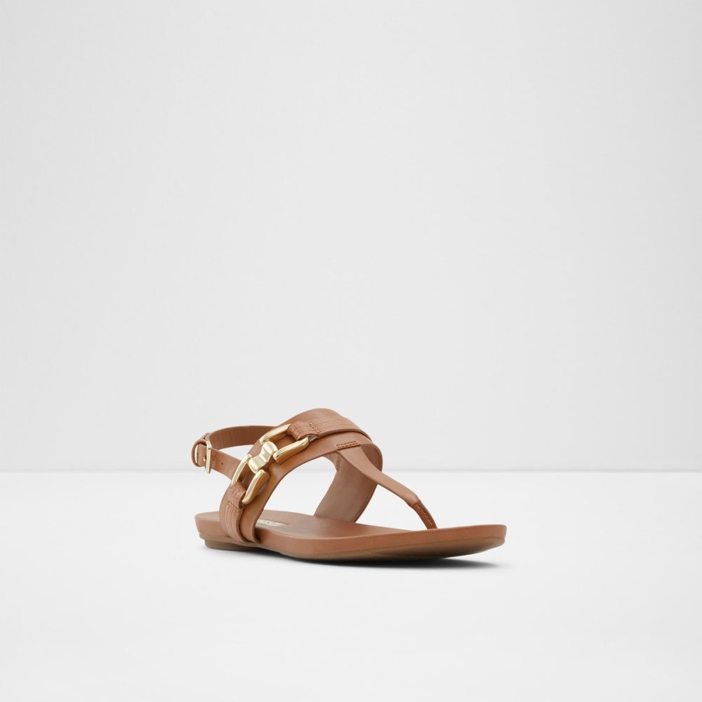 Brown Aldo Gannamaryn T-strap Sandal Sandals | 01TYVRMLQ