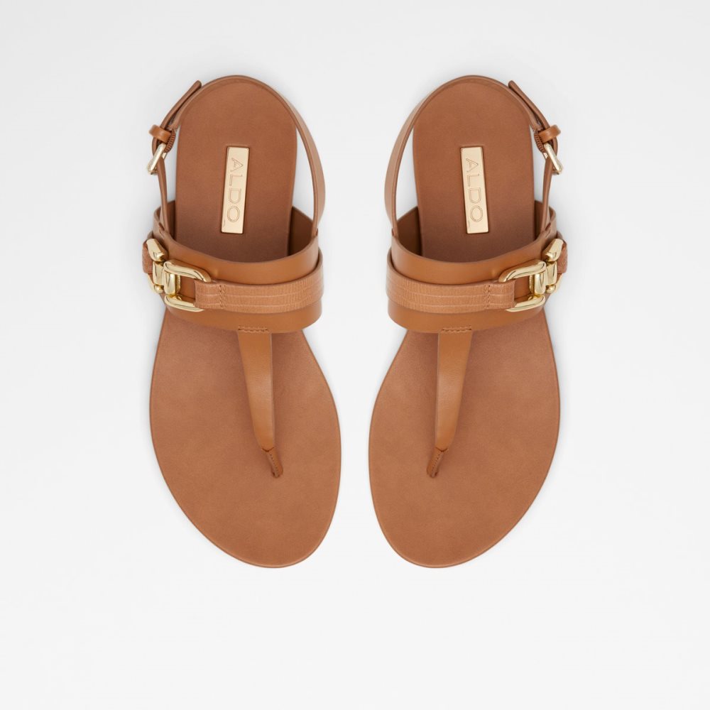 Brown Aldo Gannamaryn T-strap Sandal Sandals | 01TYVRMLQ