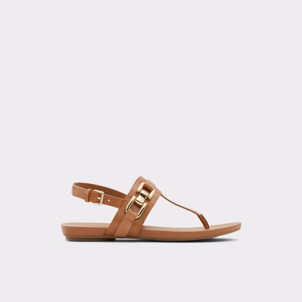 Brown Aldo Gannamaryn T-strap Sandal Sandals | 01TYVRMLQ