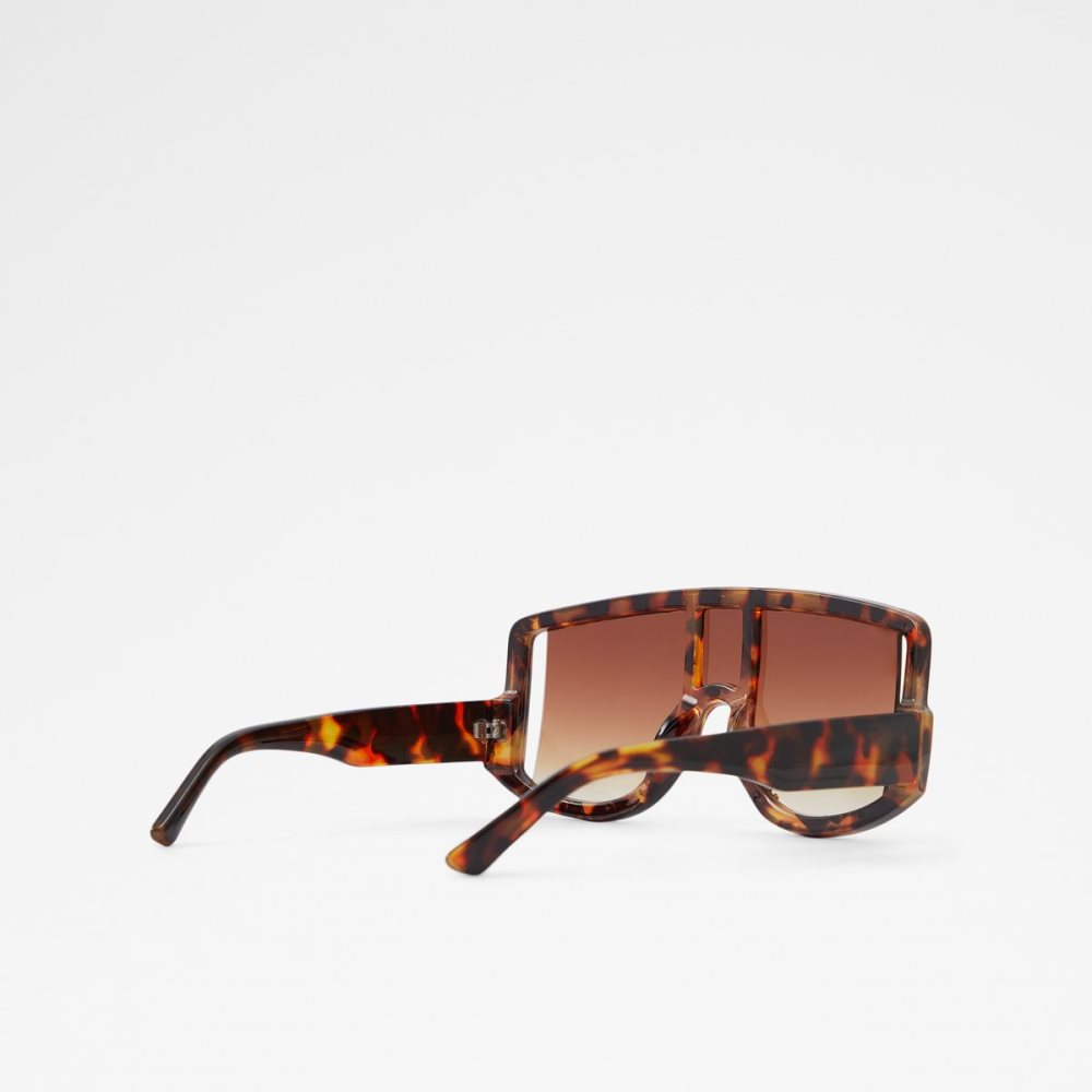 Brown Aldo Javabriclya Shield Sunglasses | 06OATLUFX