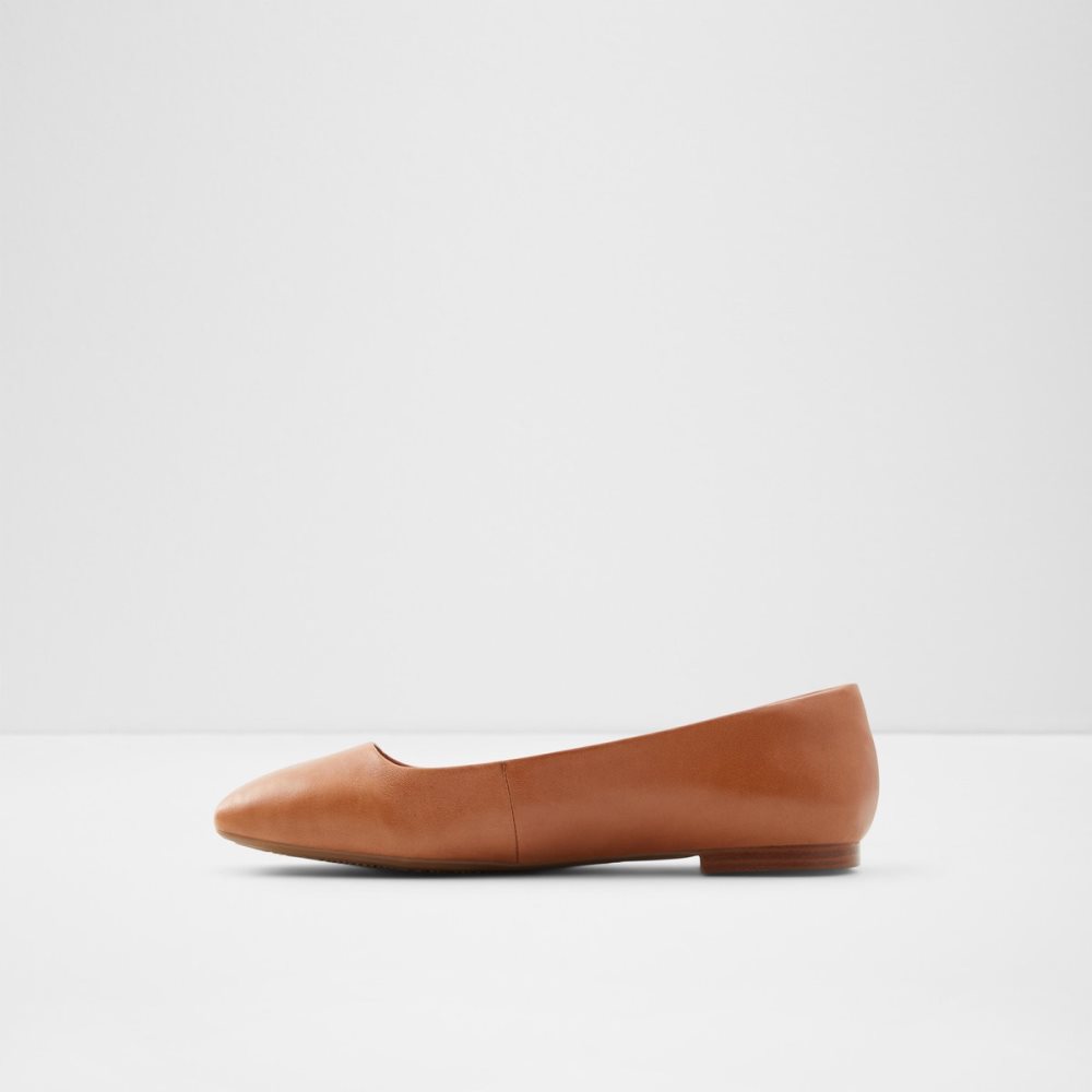 Brown Aldo Koosaflex-w Ballerina | 65FLYSRWH