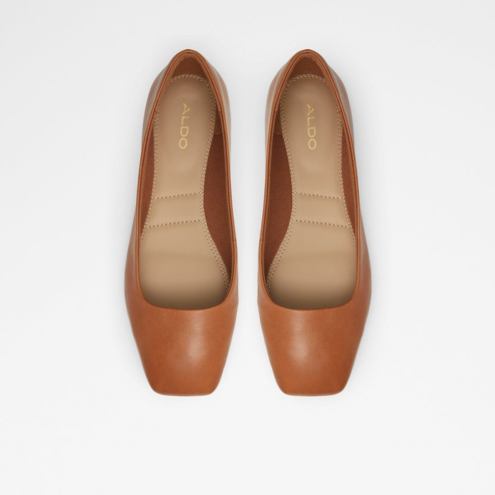 Brown Aldo Koosaflex-w Ballerina | 65FLYSRWH