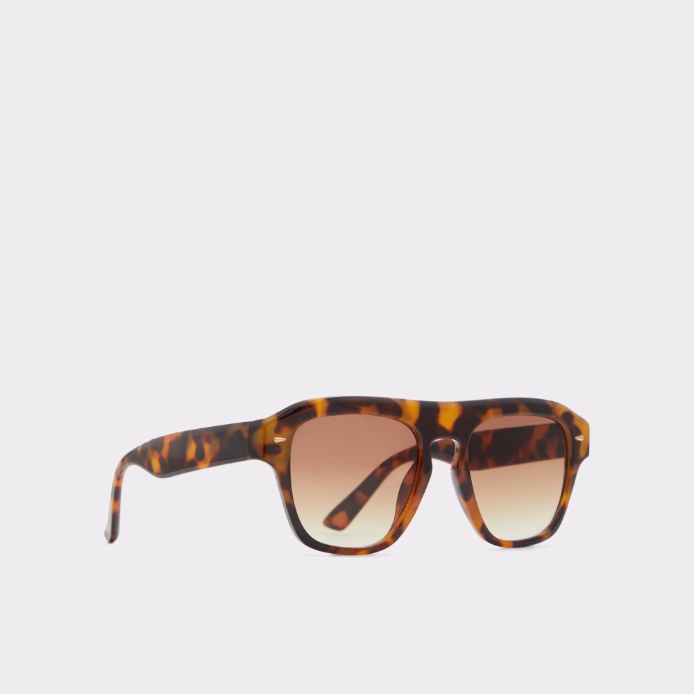 Brown Aldo Milicien Sunglasses | 24VPYEXBJ