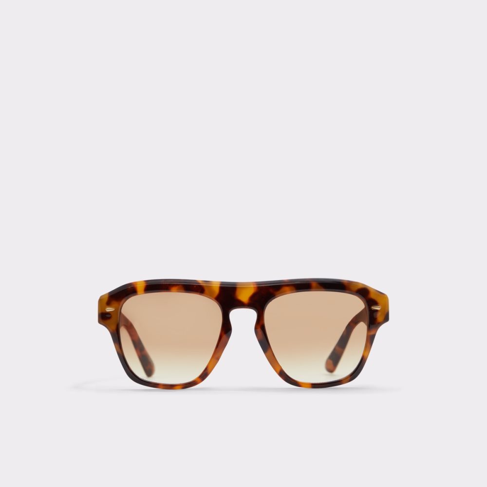 Brown Aldo Milicien Sunglasses | 24VPYEXBJ