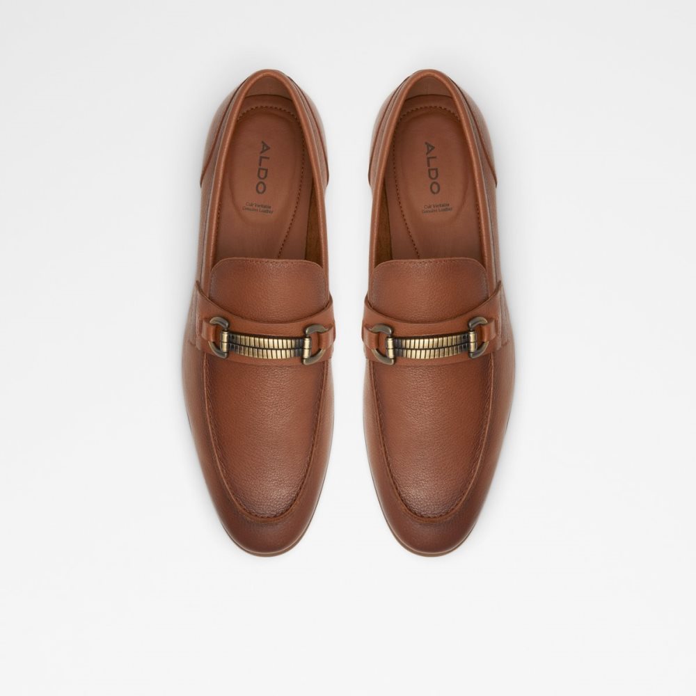 Brown Aldo Monetto Loafers | 29GHMIQES