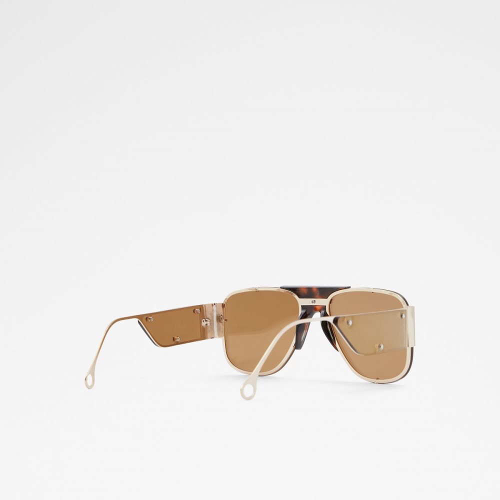 Brown Aldo Qei Aviator Sunglasses | 15GTDRLUK