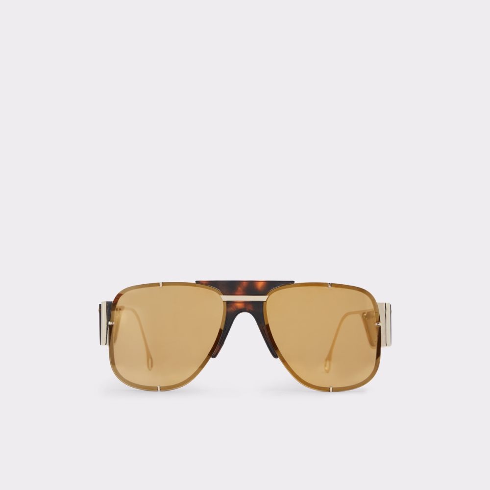 Brown Aldo Qei Aviator Sunglasses | 15GTDRLUK