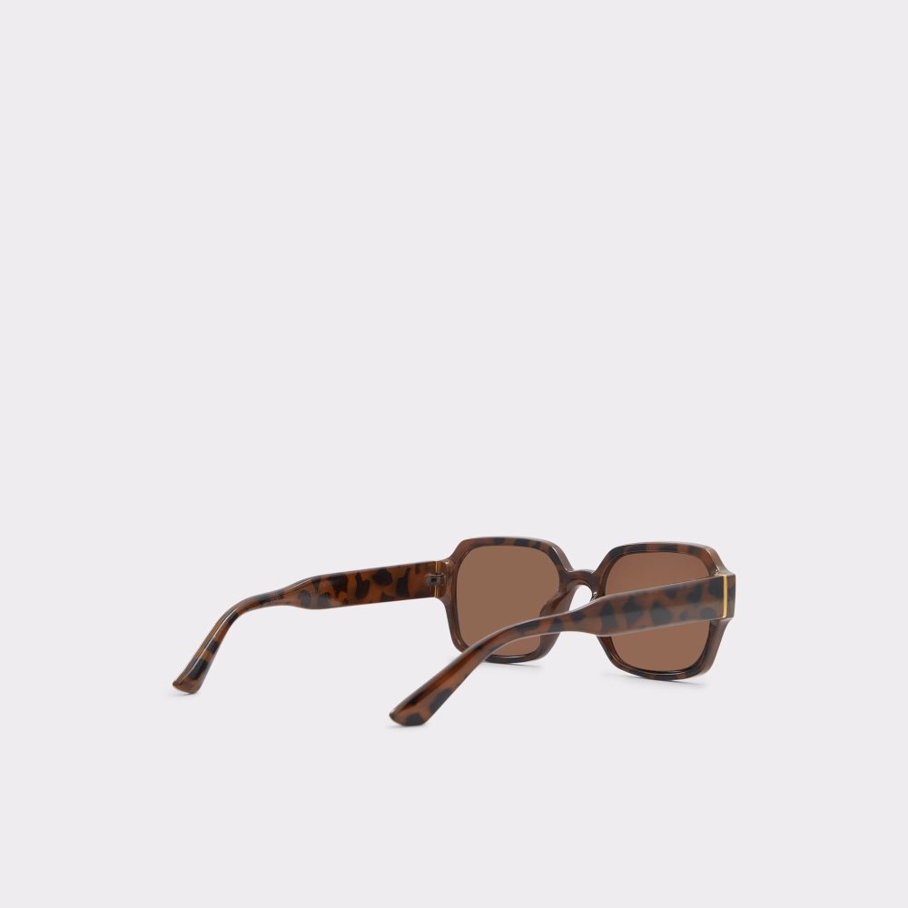 Brown Aldo Quoll Sunglasses | 37EMZNRVC