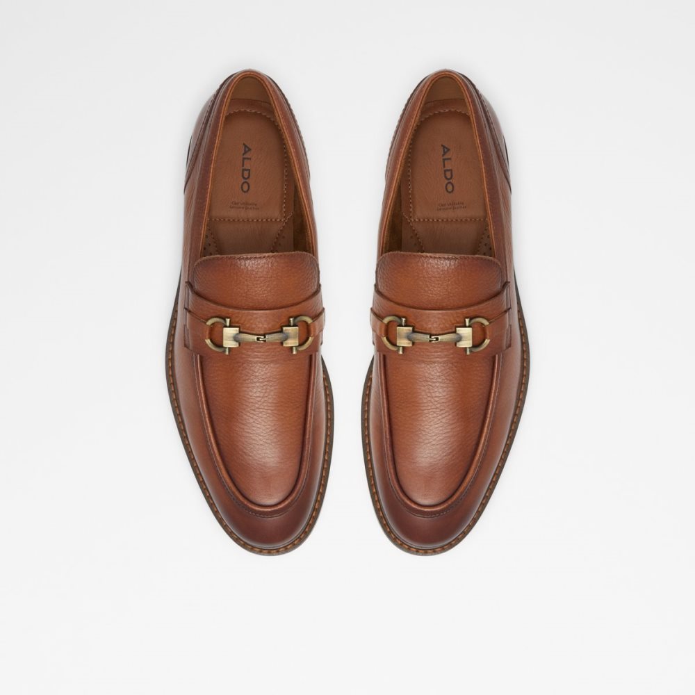 Brown Aldo Schergerflex Loafers | 13XPVIHBJ