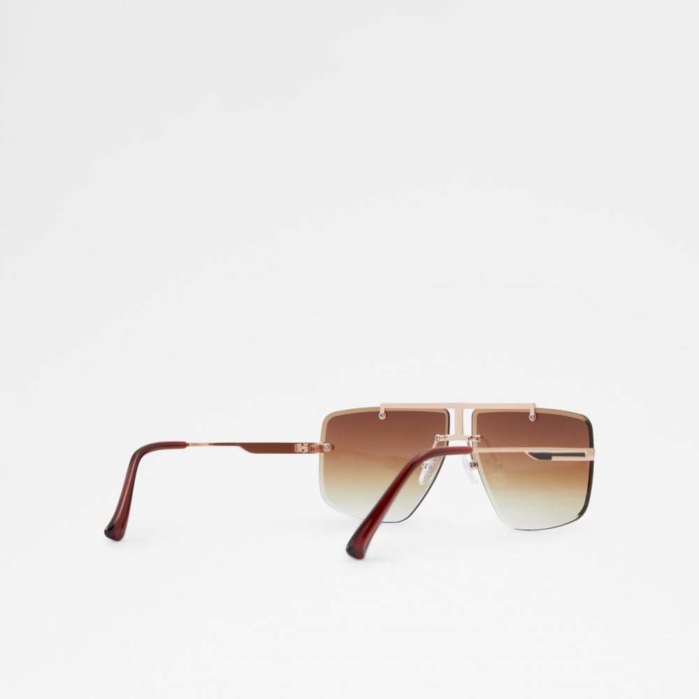 Brown Aldo Silikatu Sunglasses | 36MAQEFUT