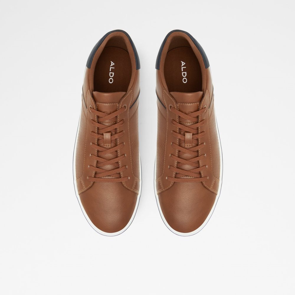 Brown Aldo Warrem Low Top Sneakers | 91XMNUICV