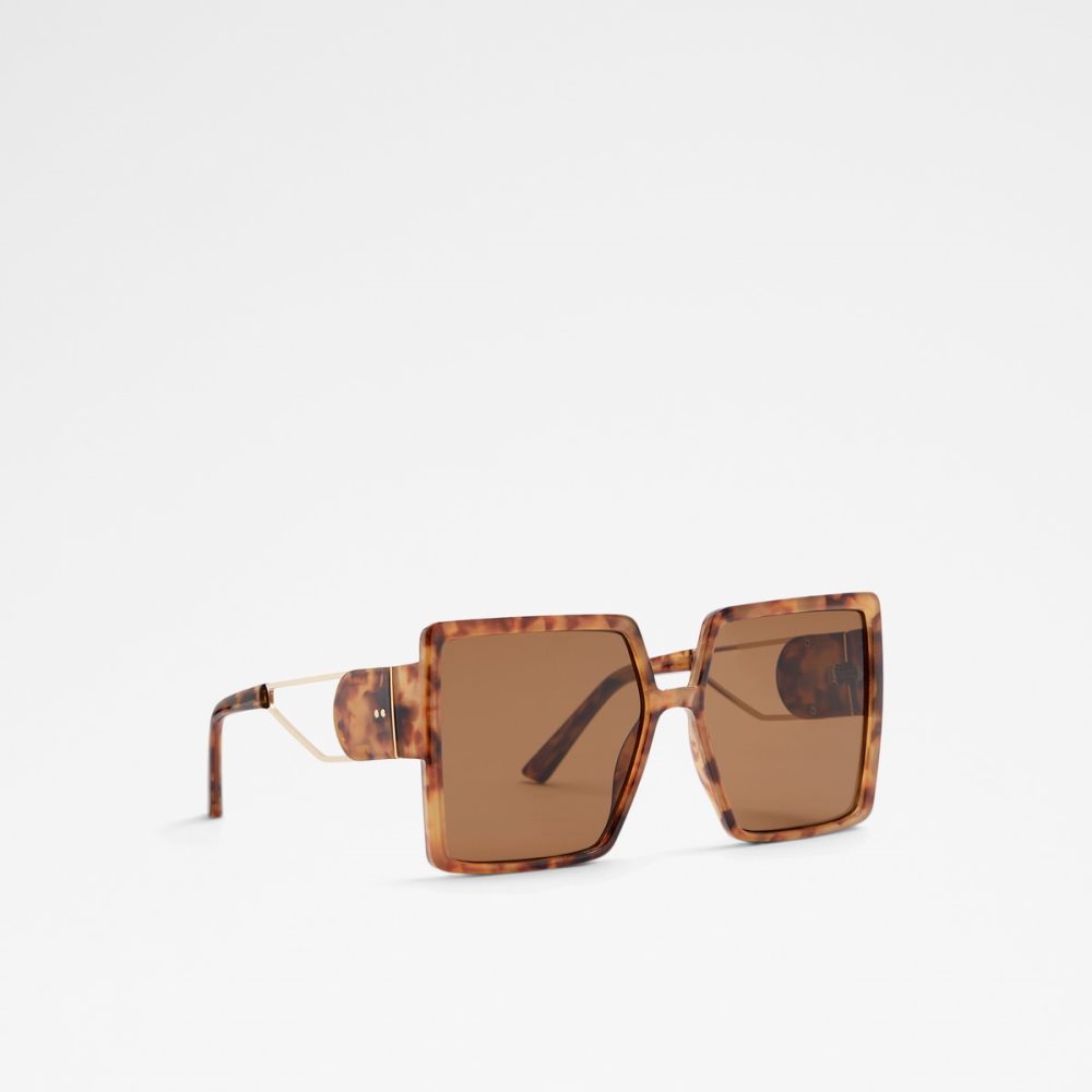 Brown Aldo Ybaledia Square Sunglasses | 14PYTQAVW