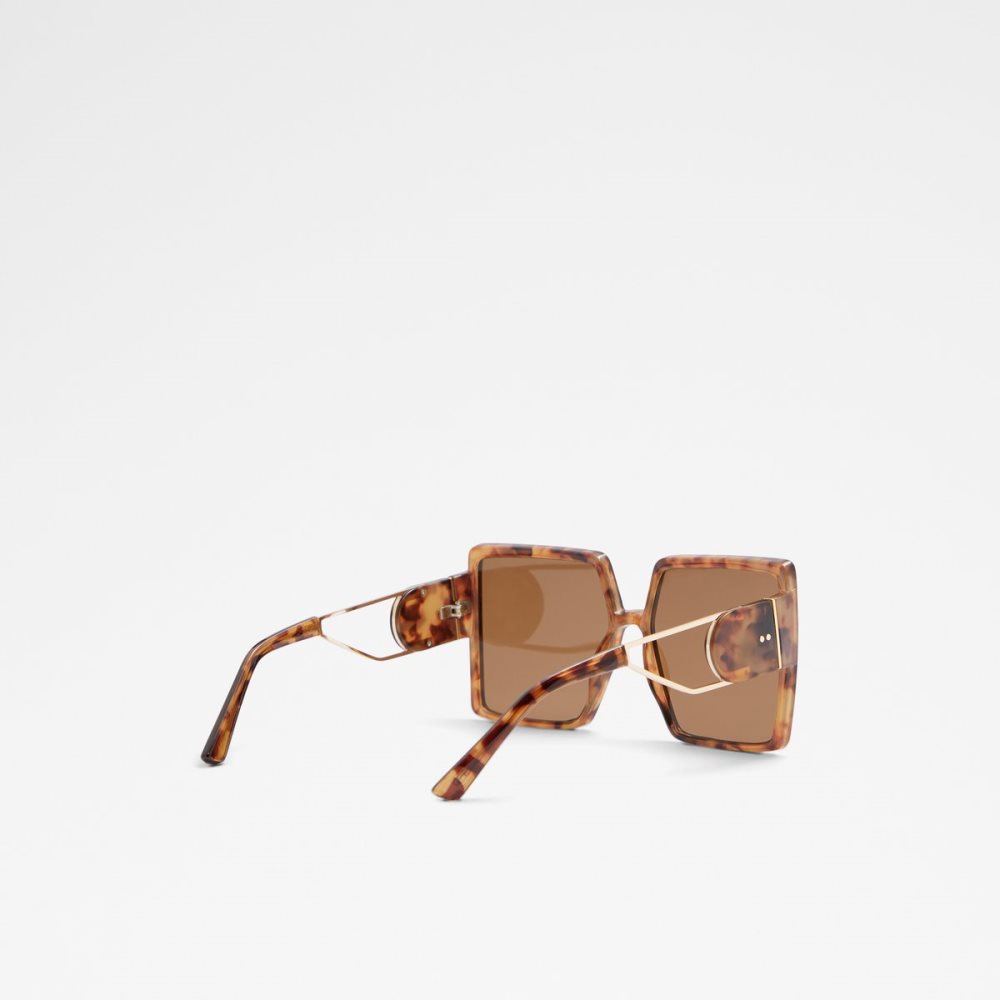 Brown Aldo Ybaledia Square Sunglasses | 14PYTQAVW