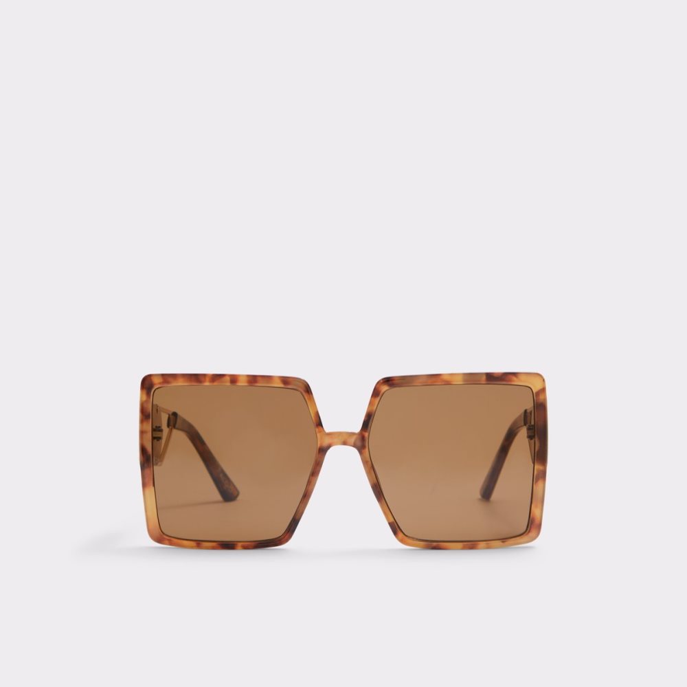 Brown Aldo Ybaledia Square Sunglasses | 14PYTQAVW