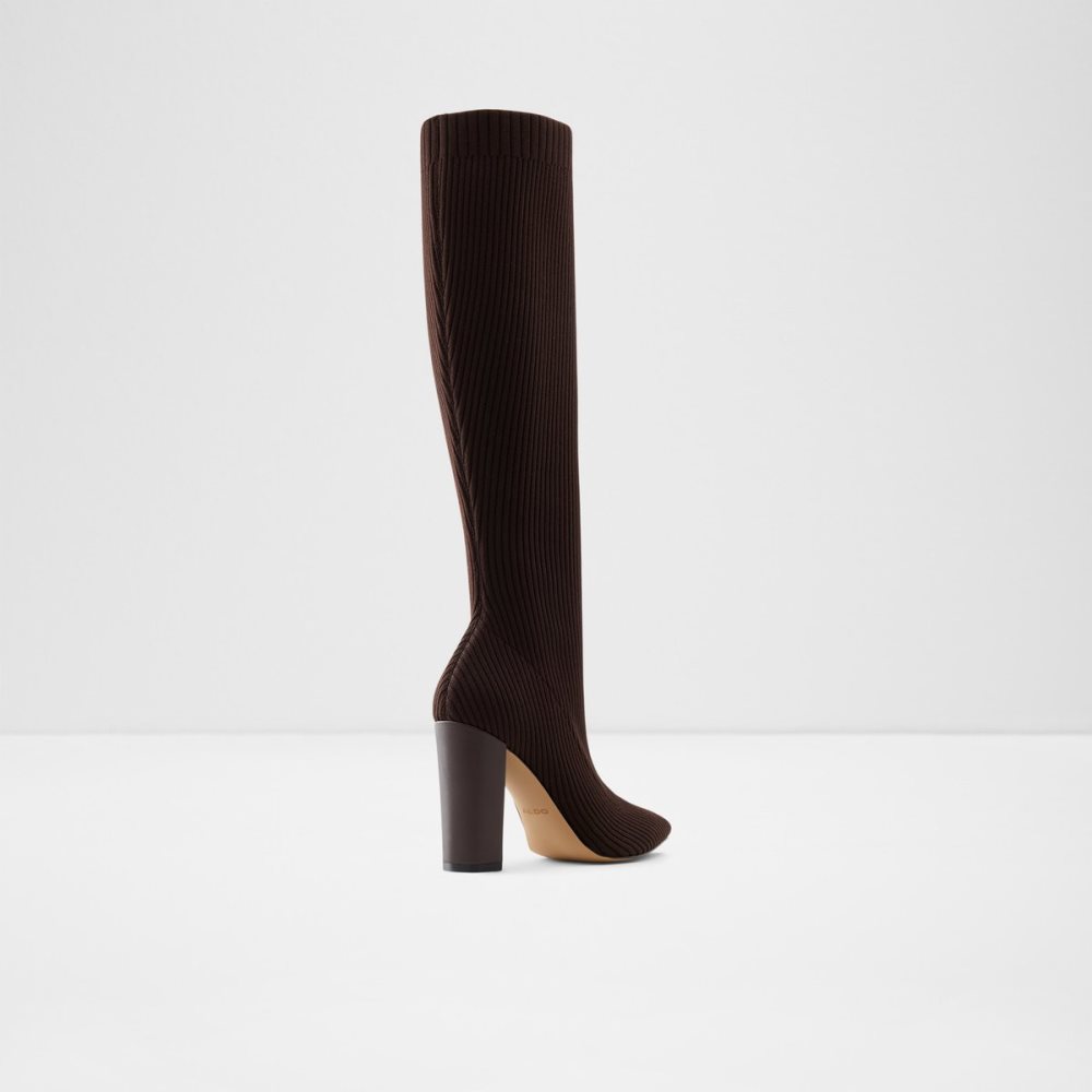 Dark Brown Aldo Lowereast Tall Boots | 64WXKPDHC