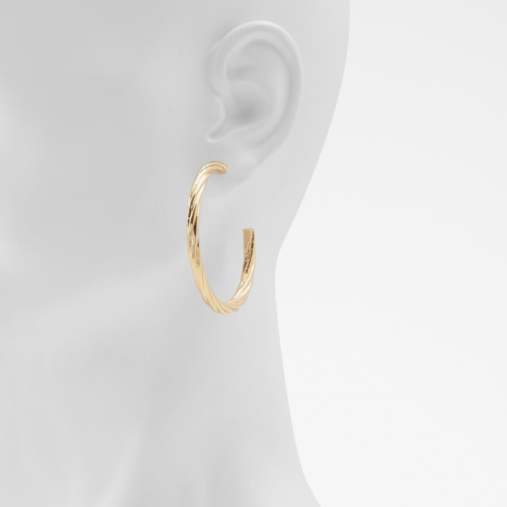 Gold Aldo Gweasean Hoop Earrings | 27CGHNBKY